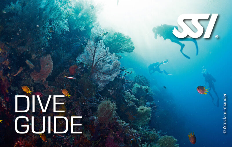 Dive Guide SSI Archipel Plongee Argeles